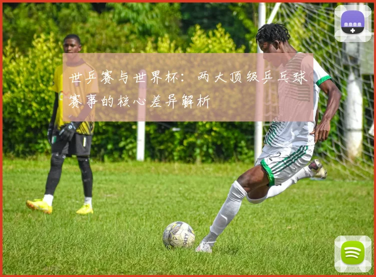 世乒赛与世界杯：两大顶级乒乓球赛事的核心差异解析